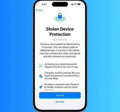 临潼苹果授权维修店分享被盗设备保护功能开启方法 