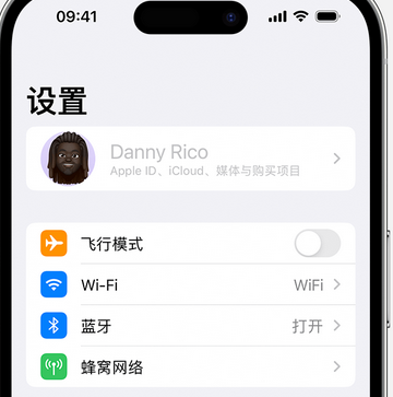 临潼appleID维修服务iPhone设置中Apple ID显示为灰色无法使用 