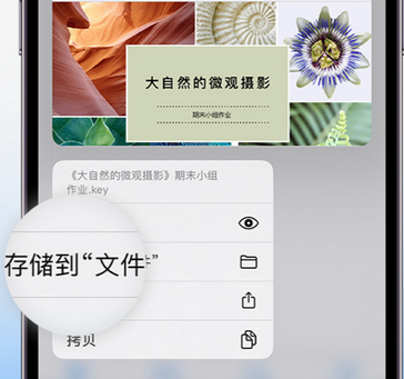 临潼apple维修中心分享iPhone文件应用中存储和找到下载文件