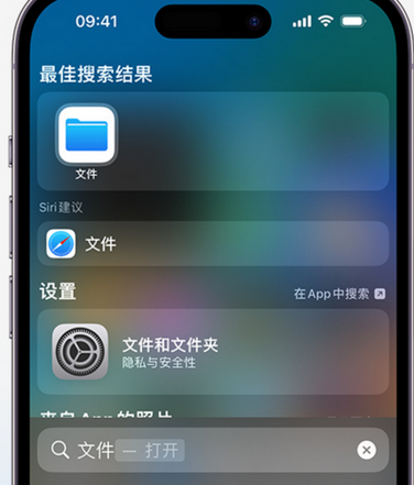 临潼apple维修中心分享iPhone文件应用中存储和找到下载文件 