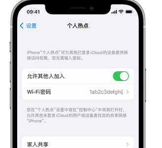 临潼apple服务站点分享iPhone上个人热点丢失了怎么办 