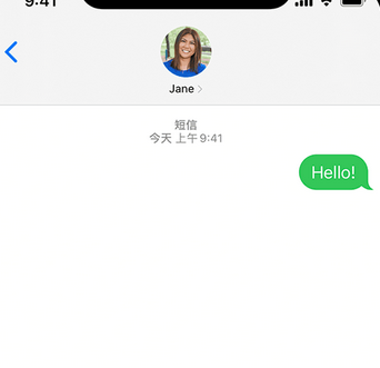 临潼apple维修iPhone上无法正常发送iMessage信息