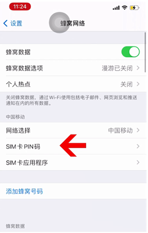 临潼苹果14维修网分享如何给iPhone14的SIM卡设置密码 