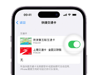 临潼apple维修点分享iPhone上更换Apple Pay快捷交通卡手绘卡面 