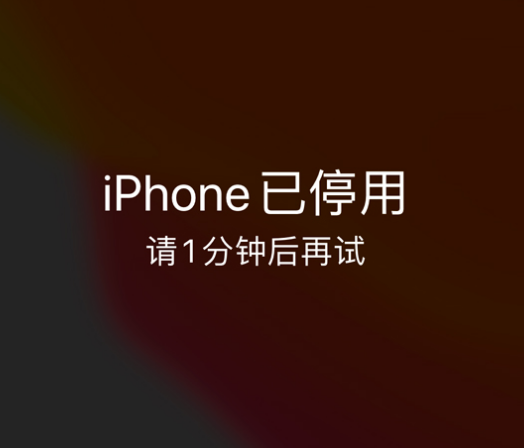 临潼苹果手机维修分享:iPhone 显示“不可用”或“已停用”怎么办？还能保留数据吗？ 