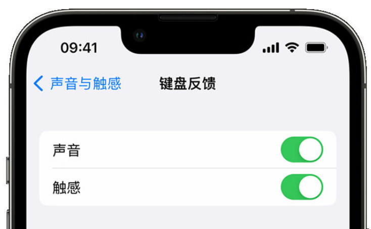 临潼苹果手机维修分享iPhone 14触感键盘使用方法 