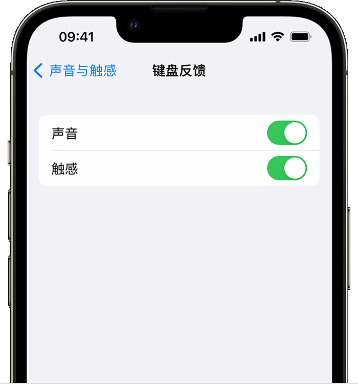 临潼苹果14维修店分享如何在 iPhone 14 机型中使用触感键盘 