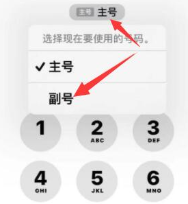 临潼苹果14维修店分享iPhone 14 Pro Max使用副卡打电话的方法 