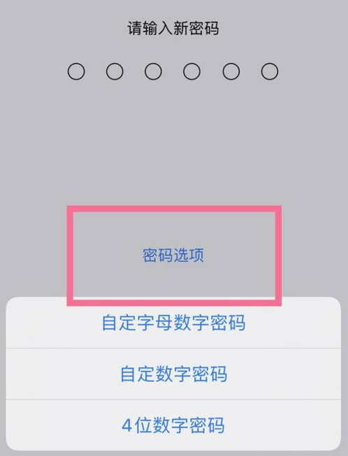 临潼苹果14维修分享iPhone 14plus设置密码的方法 