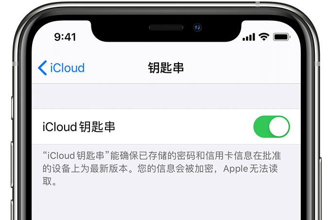 临潼苹果手机维修分享在 iPhone 上开启 iCloud 钥匙串之后会储存哪些信息 