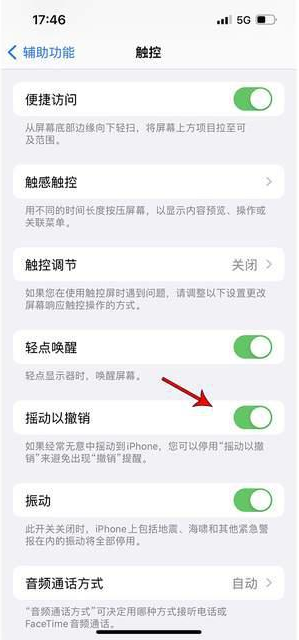 临潼苹果手机维修分享iPhone手机如何设置摇一摇删除文字 